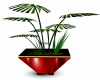 Plant Red Vase