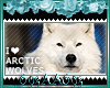 I love Arctic Wolves