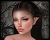 +Seer's Curls - coco
