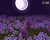 ▸ Purple Moon