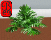 Jungle Plant 02