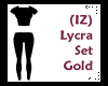 (IZ) Lycra Set Gold