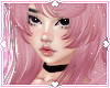 ❀. kayda | sakura