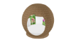 Beach Ball