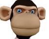 monkey head
