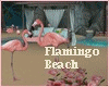 Flamingo Night Beach