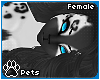 [Pets] Zentha | hair v4