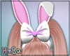 Bunny Easter Ears
