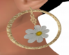 Spring Earings