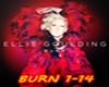 elie goulding BURN