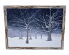 Snowy WoodsPicture/Gee