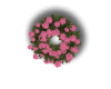 V -Spring Wreath Pink
