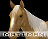 ^M^ Palomino Horse