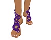 zZ Purple Feet  Flower