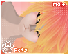 [Pets] Luci | hair v5