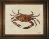 J| Crab Art
