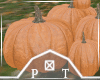 Fall Pumpkins V6