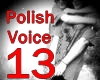 mall | Polish Voice 13