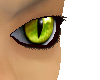 Green Cat Eyes [M]