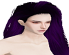 ♞Purple long Elf