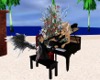 (JJ) Piano Player @Beach