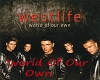 Westlife:WorldOfOurOwn