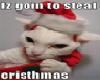 ~Christmas Cat~