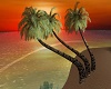 B3*Sunset Palms 2