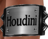 Houdini Custom
