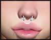 Septum