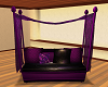 purple couch relax kiss