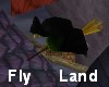 Witch's Broom Fly+Land