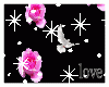 light love rose colombe