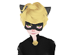Cat Noir Mask