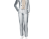 Silver Gray Suit