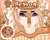 ✦ Biscotto | Hair