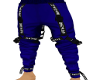 blue  sports  pants