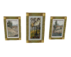 Gold Frame Scenery Pics