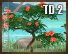 TD 2 Flowering Tree 2
