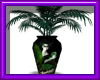 (sm)fairy ferns vase*
