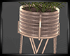 LS~Tropical Realistic Pl