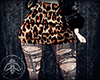 Leopard/Ripped Stockings