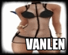 VL**Transparence BF