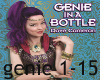 genie in a bottle