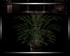 *Devotion  Planter 4