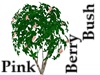 Pink Berry Bush