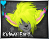 D~Kubwa Ears:Yellow(M/F)
