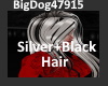 [BD]Silver+BlackHair