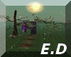 [E.D] ENCHANTED FOREST