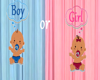 Baby Shower Reveil